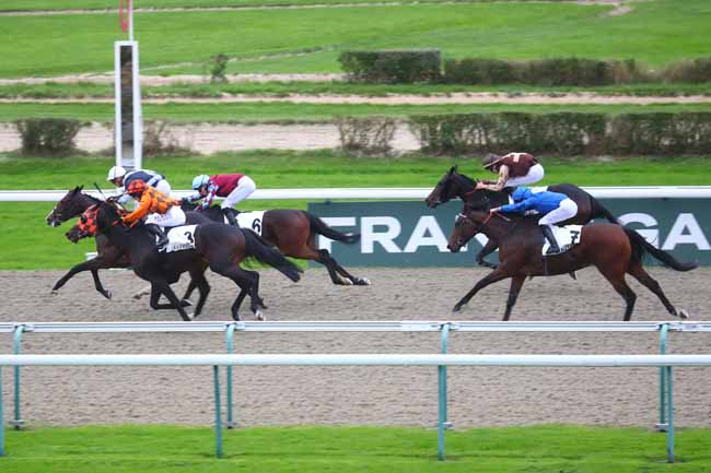 Photo d'arrivée de la course pmu PRIX DE ROIVILLE à DEAUVILLE le Vendredi 8 novembre 2024