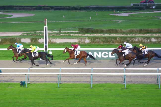 Photo d'arrivée de la course pmu PRIX DE LA PIGEONNIERE à DEAUVILLE le Vendredi 8 novembre 2024