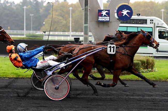 Photo d'arrivée de la course pmu PRIX DE RANVILLE à PARIS-VINCENNES le Samedi 9 novembre 2024