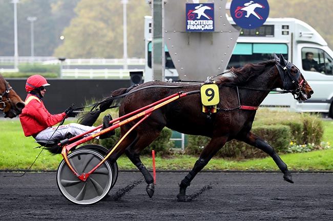 Photo d'arrivée de la course pmu PRIX DE BACQUEVILLE à PARIS-VINCENNES le Samedi 9 novembre 2024