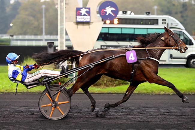 Photo d'arrivée de la course pmu PRIX ATLANTIC à PARIS-VINCENNES le Samedi 9 novembre 2024