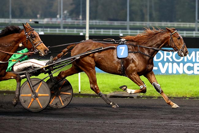 Photo d'arrivée de la course pmu PRIX D'ARGENTAN à PARIS-VINCENNES le Samedi 9 novembre 2024