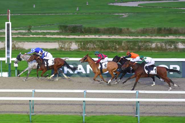 Photo d'arrivée de la course pmu PRIX DE HUTREL à DEAUVILLE le Samedi 9 novembre 2024