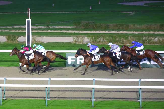 Photo d'arrivée de la course pmu PRIX DE LA VILLA LES ABEILLES à DEAUVILLE le Samedi 9 novembre 2024