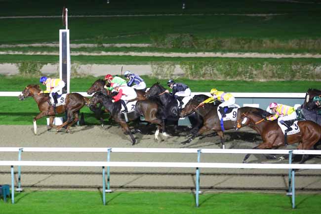 Photo d'arrivée de la course pmu PRIX DE BRIQUEBEC-EN-COTENTIN à DEAUVILLE le Samedi 9 novembre 2024