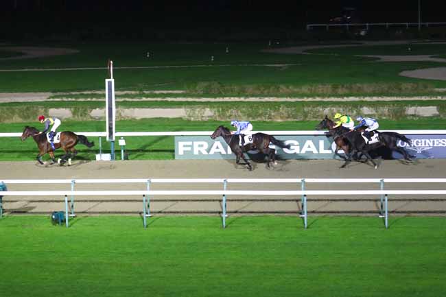 Photo d'arrivée de la course pmu PRIX PORLEZZA à DEAUVILLE le Samedi 9 novembre 2024