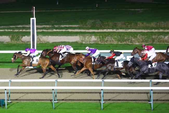 Photo d'arrivée de la course pmu PRIX DE LIGNEROLLES à DEAUVILLE le Samedi 9 novembre 2024