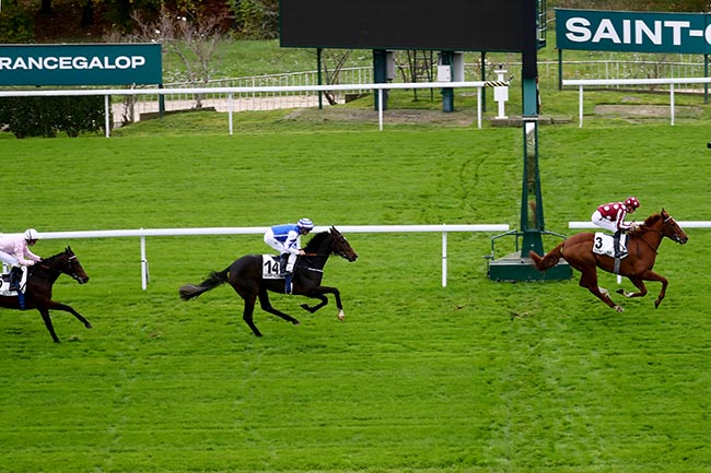 Photo d'arrivée de la course pmu PRIX DOUVE à SAINT CLOUD le Dimanche 10 novembre 2024