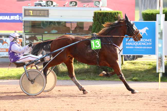 Photo d'arrivée de la course pmu PRIX LA CIVETTE DU VIEUX-MARCHE - ROUEN à MAUQUENCHY le Mercredi 13 novembre 2024