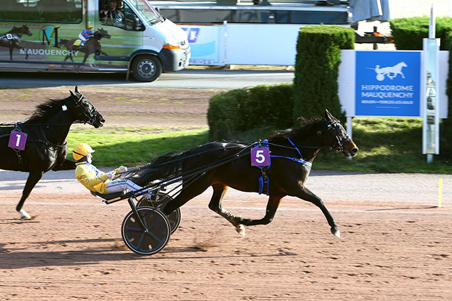 Arrivée quinté pmu PRIX JACQUES BRION à MAUQUENCHY