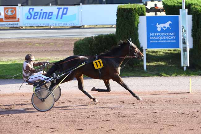 Photo d'arrivée de la course pmu PRIX MAURICE DE FOLLEVILLE (PRIX DU BAR-TABAC DE LA PLACE - BERTHECOURT) à MAUQUENCHY le Mercredi 13 novembre 2024
