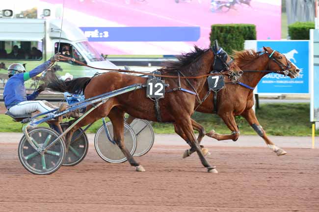Photo d'arrivée de la course pmu PRIX L'AMANDRA - DARNETAL à MAUQUENCHY le Mercredi 13 novembre 2024