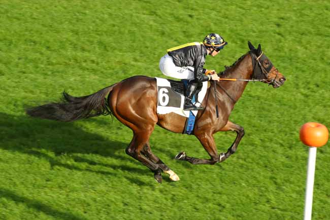 Photo d'arrivée de la course pmu PRIX DE LA LANDE DE BRUYERE à FONTAINEBLEAU le Jeudi 14 novembre 2024