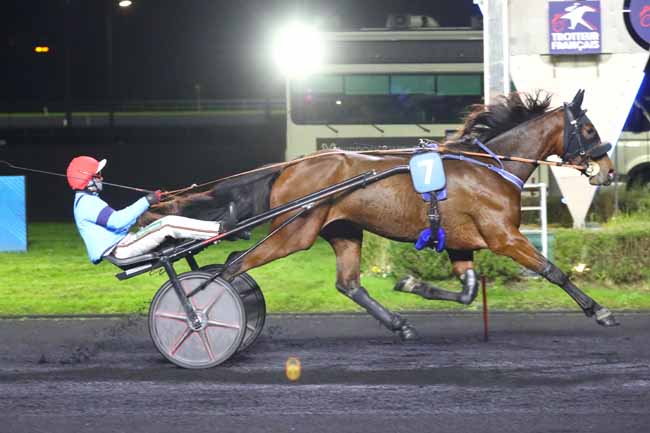 Photo d'arrivée de la course pmu PRIX DES HORTENSIAS à PARIS-VINCENNES le Jeudi 14 novembre 2024