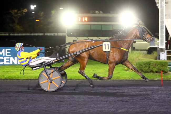 Photo d'arrivée de la course pmu PRIX CAMPANUS à PARIS-VINCENNES le Vendredi 15 novembre 2024