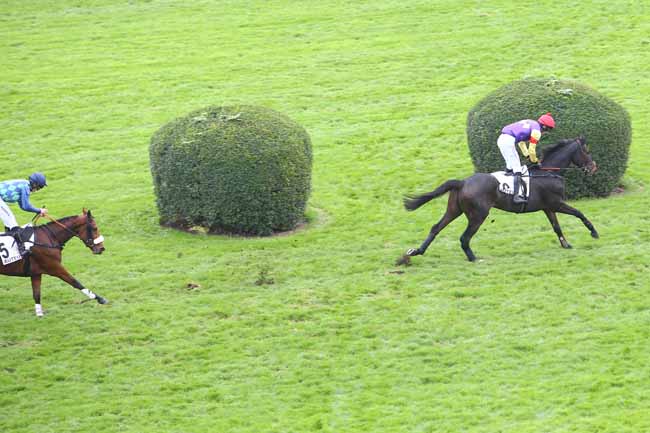 Photo d'arrivée de la course pmu PRIX FONDEUR à AUTEUIL le Dimanche 17 novembre 2024