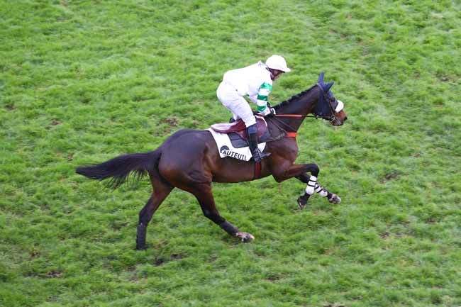 Photo d'arrivée de la course pmu PRIX ROBERT ET JEAN-CLAUDE WEILL à AUTEUIL le Dimanche 17 novembre 2024