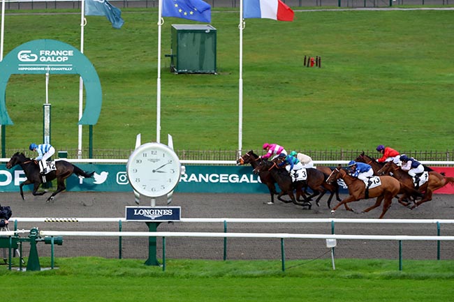 Photo d'arrivée de la course pmu PRIX DU BOIS DE LA TUILERIE à CHANTILLY le Mardi 19 novembre 2024