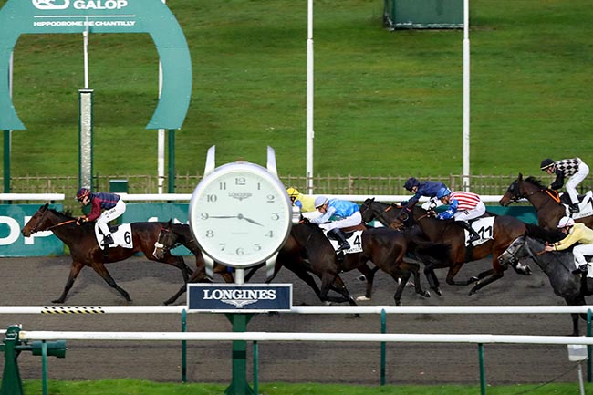 Photo d'arrivée de la course pmu PRIX DU PLAN D'EAU DU CANADA à CHANTILLY le Mardi 19 novembre 2024
