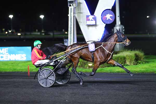Photo d'arrivée de la course pmu PRIX KLIO à PARIS-VINCENNES le Mardi 19 novembre 2024