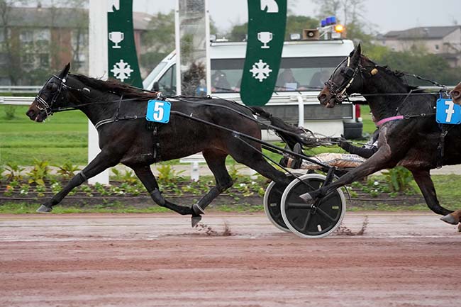 Photo d'arrivée de la course pmu PRIX ZENITUDE à TOULOUSE le Mercredi 20 novembre 2024