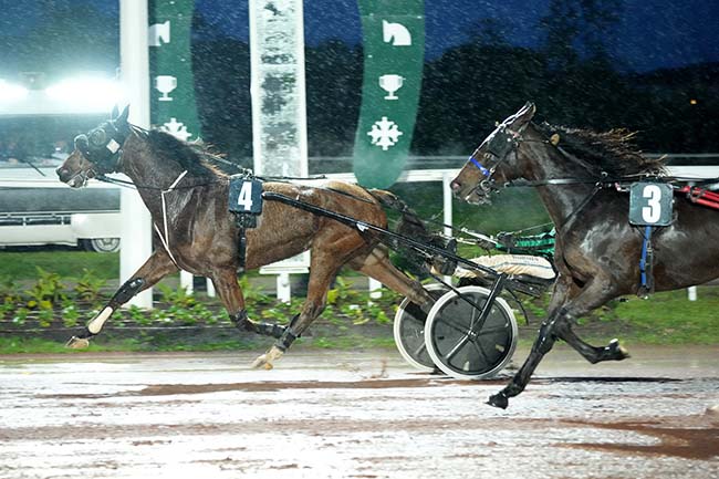Photo d'arrivée de la course pmu PRIX HENRY CISTAC à TOULOUSE le Mercredi 20 novembre 2024