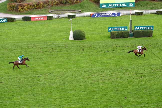 Photo d'arrivée de la course pmu PRIX THUYA à AUTEUIL le Dimanche 24 novembre 2024