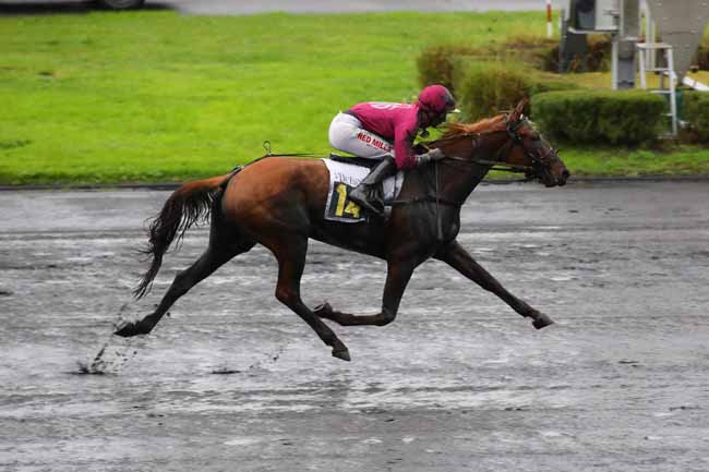 Photo d'arrivée de la course pmu PRIX DE SANTIGNY à PARIS-VINCENNES le Lundi 25 novembre 2024