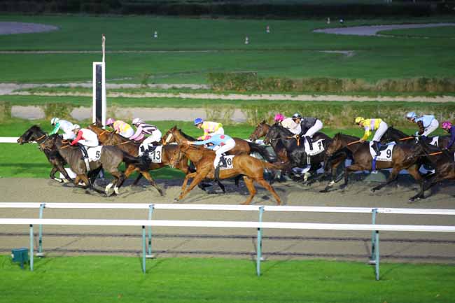 Photo d'arrivée de la course pmu PRIX DE L'AUBERGE MOISY à DEAUVILLE le Mercredi 27 novembre 2024