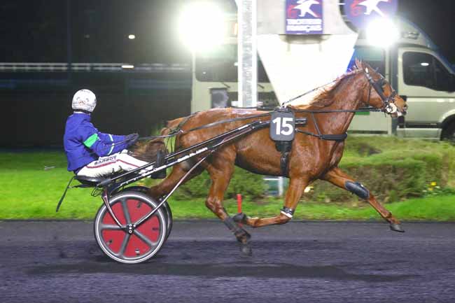Photo d'arrivée de la course pmu PRIX DES CAMPANULES à PARIS-VINCENNES le Mercredi 27 novembre 2024
