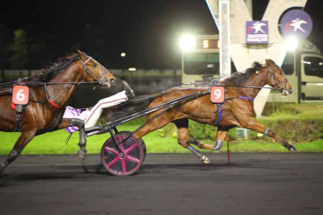 Photo d'arrivée de la course pmu PRIX ARSINOE à PARIS-VINCENNES le Vendredi 29 novembre 2024