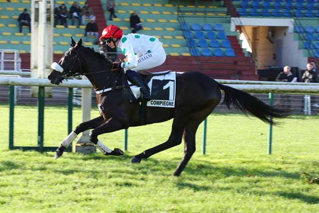 Photo d'arrivée de la course pmu PRIX ROGER DE MINVIELLE à COMPIEGNE le Vendredi 29 novembre 2024