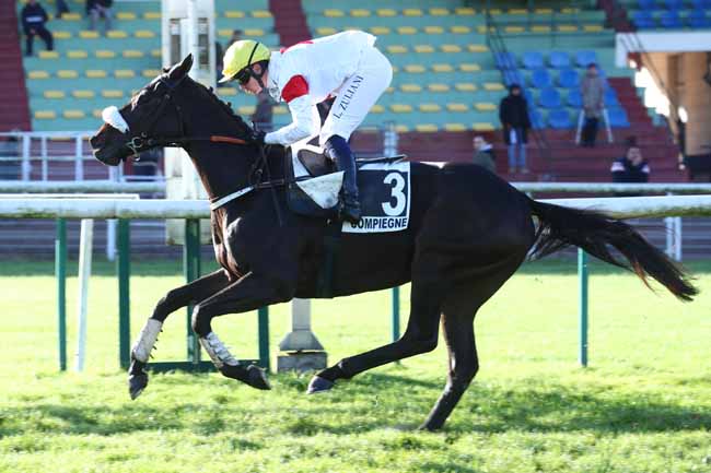 Photo d'arrivée de la course pmu PRIX D'AMIENS à COMPIEGNE le Vendredi 29 novembre 2024