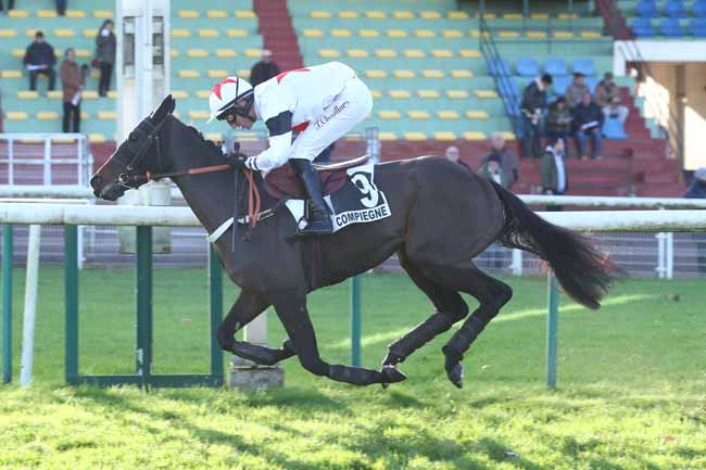 Photo d'arrivée de la course pmu PRIX DE CRAON à COMPIEGNE le Vendredi 29 novembre 2024