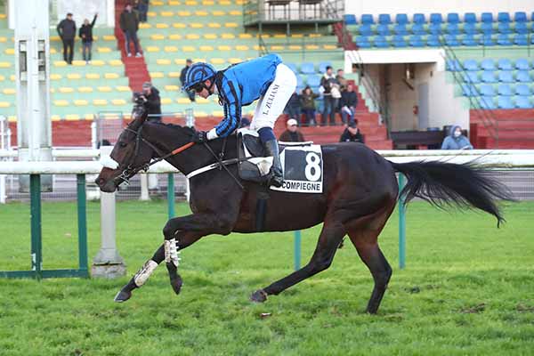 Photo d'arrivée de la course pmu PRIX DANDOLO à COMPIEGNE le Vendredi 29 novembre 2024