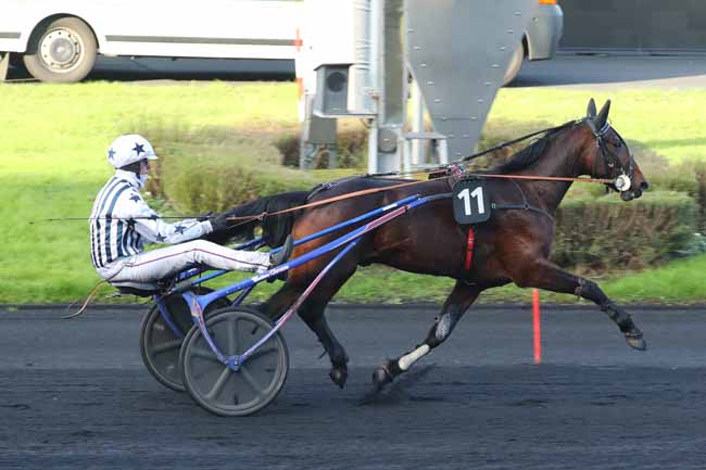Photo d'arrivée de la course pmu PRIX DES DAHLIAS à PARIS-VINCENNES le Samedi 30 novembre 2024
