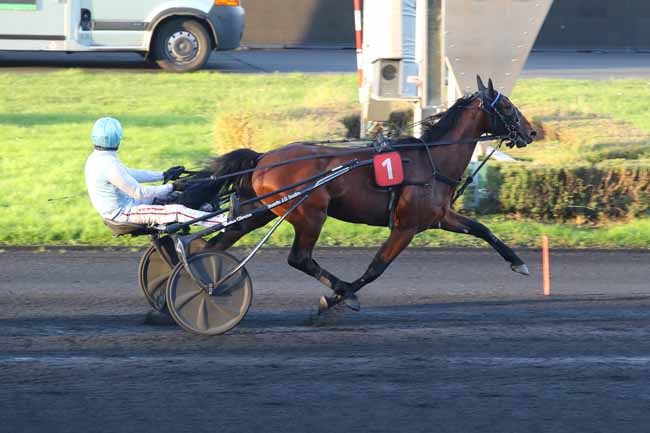 Photo d'arrivée de la course pmu PRIX DE LA BRESSE à PARIS-VINCENNES le Samedi 30 novembre 2024