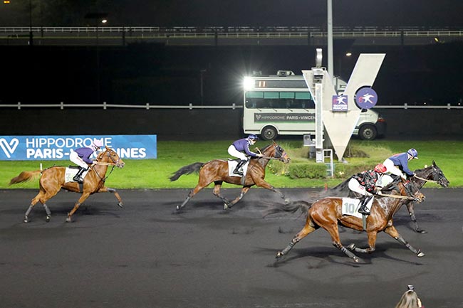 Photo d'arrivée de la course pmu PRIX DE SABLE-SUR-SARTHE à PARIS-VINCENNES le Samedi 30 novembre 2024