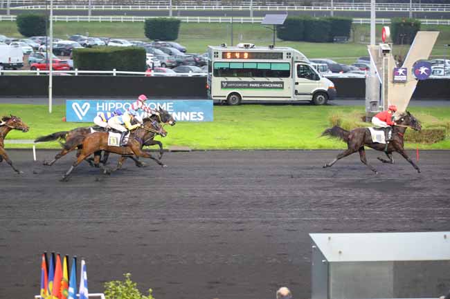 Photo d'arrivée de la course pmu PRIX PHILIPPE DU ROZIER à PARIS-VINCENNES le Dimanche 1 décembre 2024