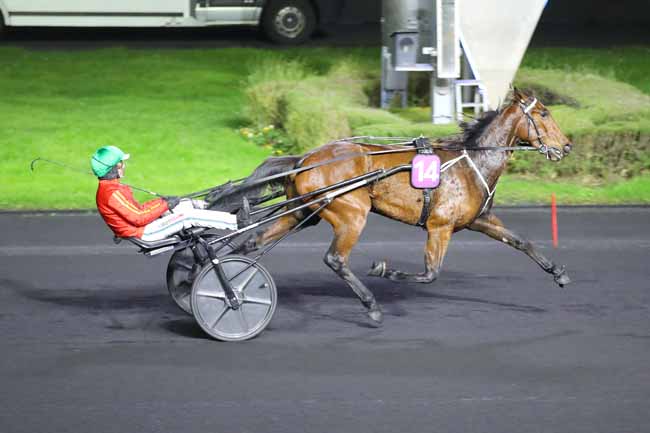 Photo d'arrivée de la course pmu PRIX DE CABRIERES à PARIS-VINCENNES le Lundi 2 décembre 2024