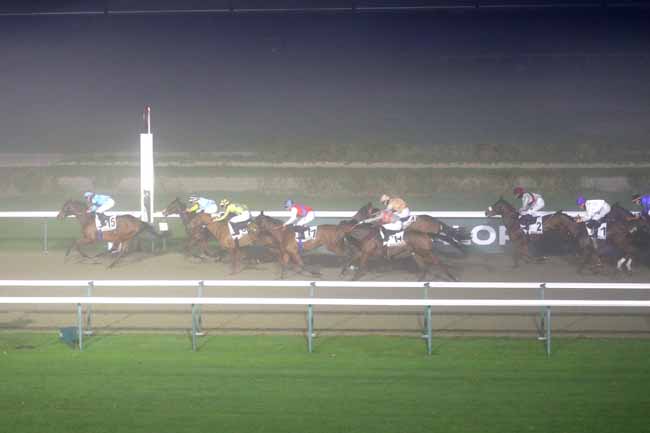 Photo d'arrivée de la course pmu PRIX DE LA HALLE AU BLE à DEAUVILLE le Mardi 3 décembre 2024