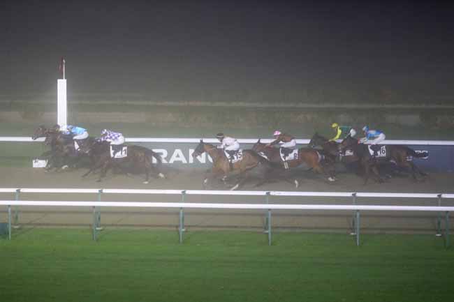 Photo d'arrivée de la course pmu PRIX DE LA MAISON DU CIRIER PLANTEFOR à DEAUVILLE le Mardi 3 décembre 2024