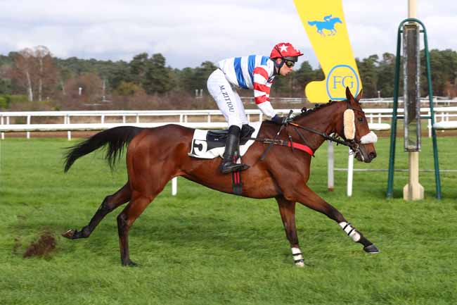 Photo d'arrivée de la course pmu PRIX DE LA MARE AUX CERFS à FONTAINEBLEAU le Mardi 3 décembre 2024