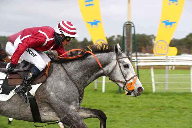 Photo d'arrivée de la course pmu PRIX DU PAVE DU ROY à FONTAINEBLEAU le Mardi 3 décembre 2024