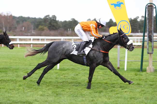 Photo d'arrivée de la course pmu PRIX TREMAILLE à FONTAINEBLEAU le Mardi 3 décembre 2024