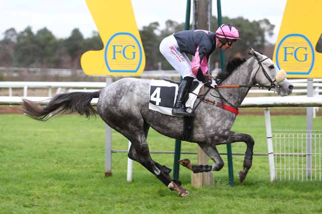 Photo d'arrivée de la course pmu PRIX DE MACHERIN à FONTAINEBLEAU le Mardi 3 décembre 2024