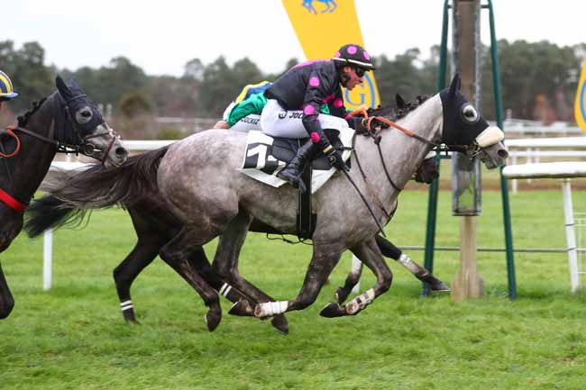 Photo d'arrivée de la course pmu PRIX DU MASSIF FORESTIER à FONTAINEBLEAU le Mardi 3 décembre 2024