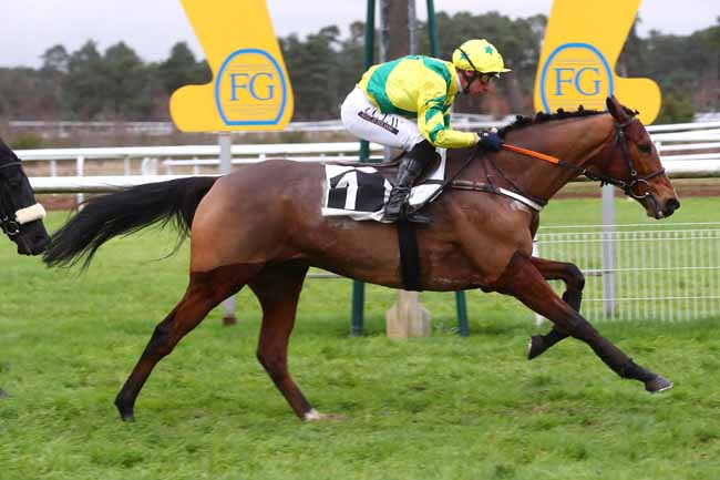 Photo d'arrivée de la course pmu PRIX PAIUTE à FONTAINEBLEAU le Mardi 3 décembre 2024