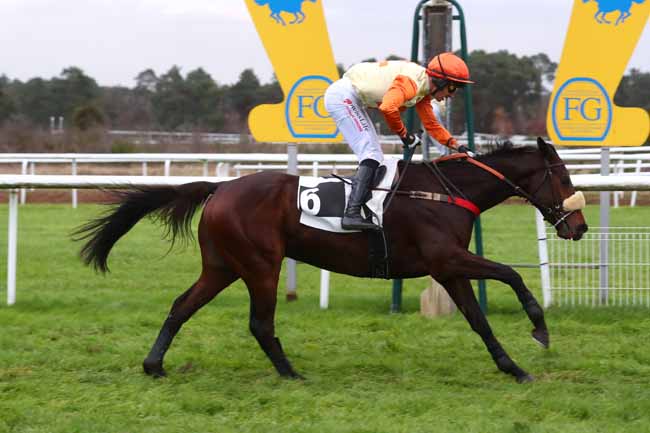 Photo d'arrivée de la course pmu GRAND STEEPLE-CHASE DE LA SOLLE - PRIX COMPAGNIE LES ARLEQUINS à FONTAINEBLEAU le Mardi 3 décembre 2024