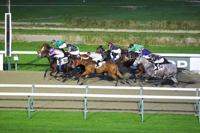 Photo d'arrivée de la course pmu PRIX DE GOLD BEACH à DEAUVILLE le Mercredi 4 décembre 2024